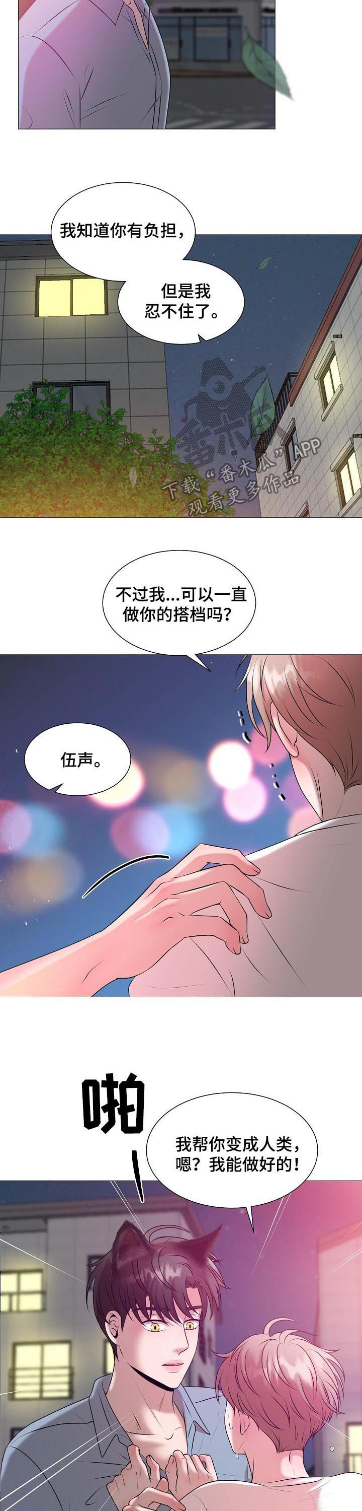 猫猫初体验漫画,第41章：爱情4图