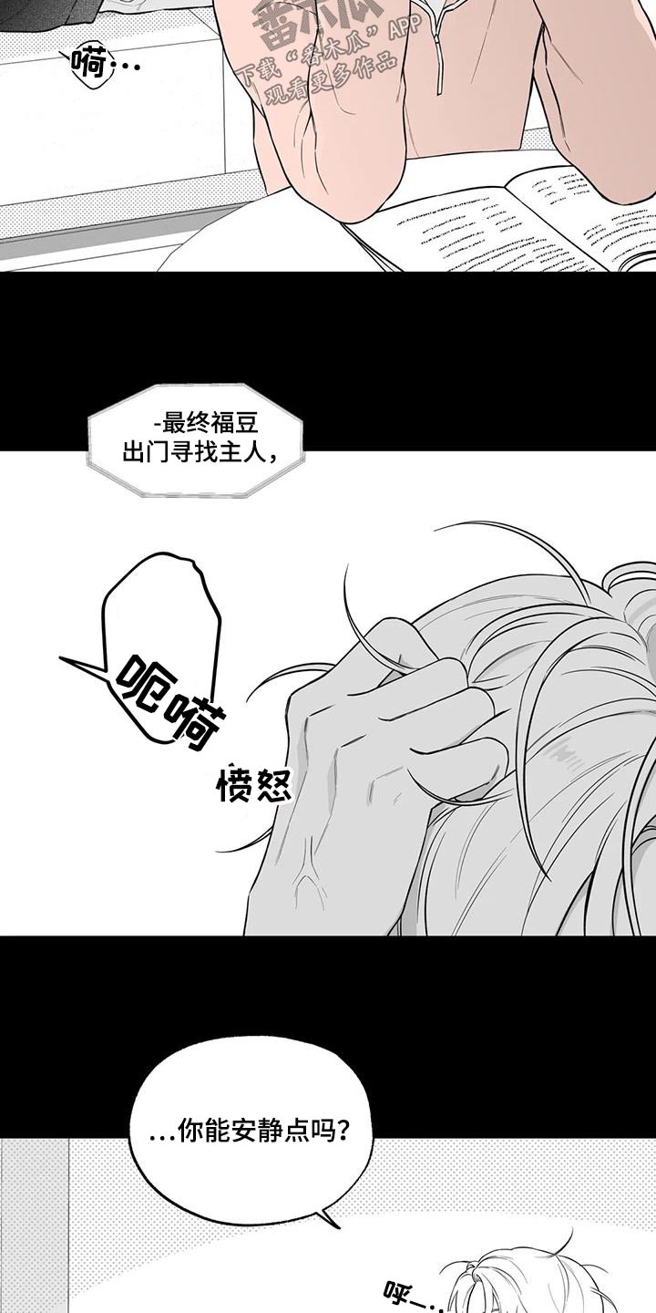 第123章：【番外】计划4