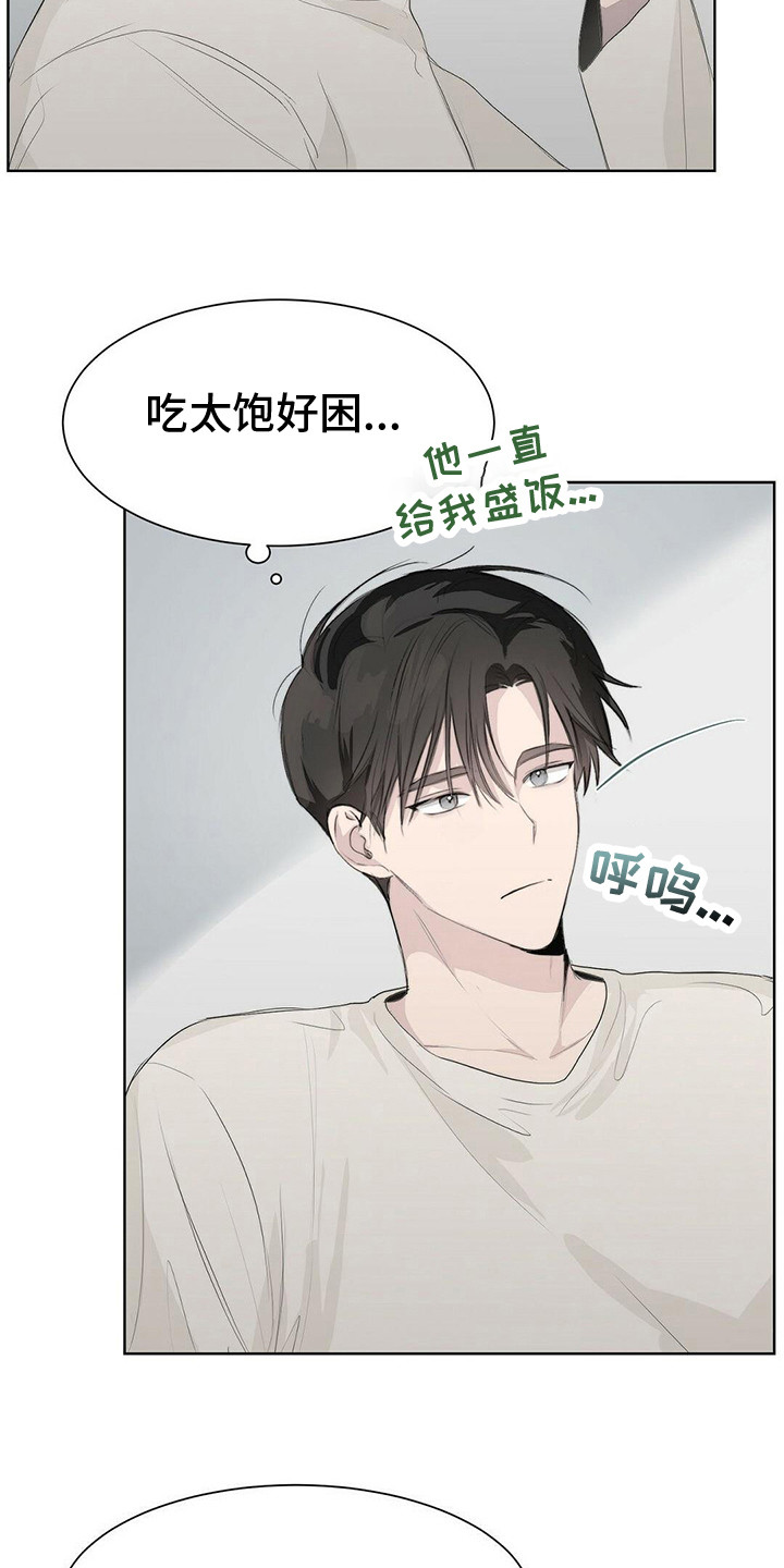 小说攻略漫画免费阅读完整版漫画,第10章：晕倒3图