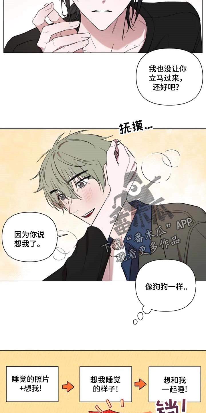 小小恋歌日语歌合唱漫画,第61章：像狗狗一样3图