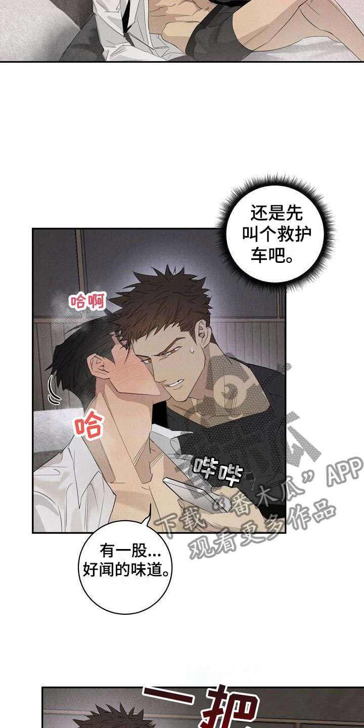 情人节特色烟花秀漫画,第45章：糟糕了3图