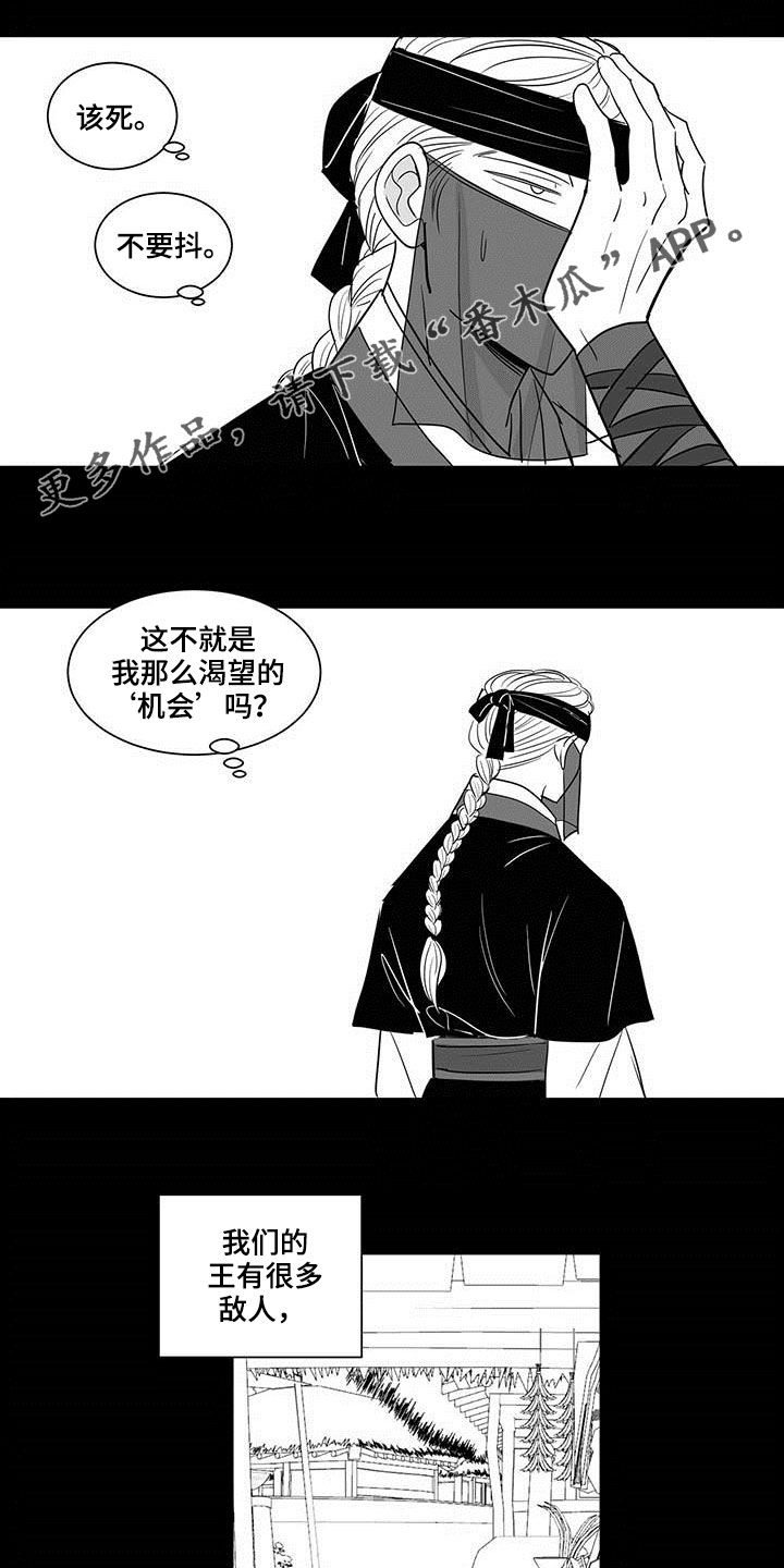第31章：直言不讳0