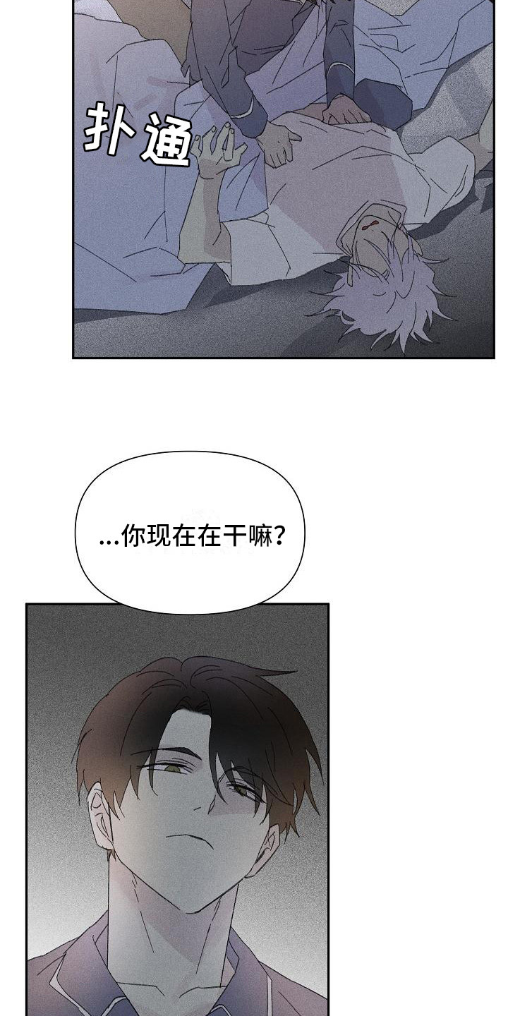 第26章：花木有情：失去兴趣2