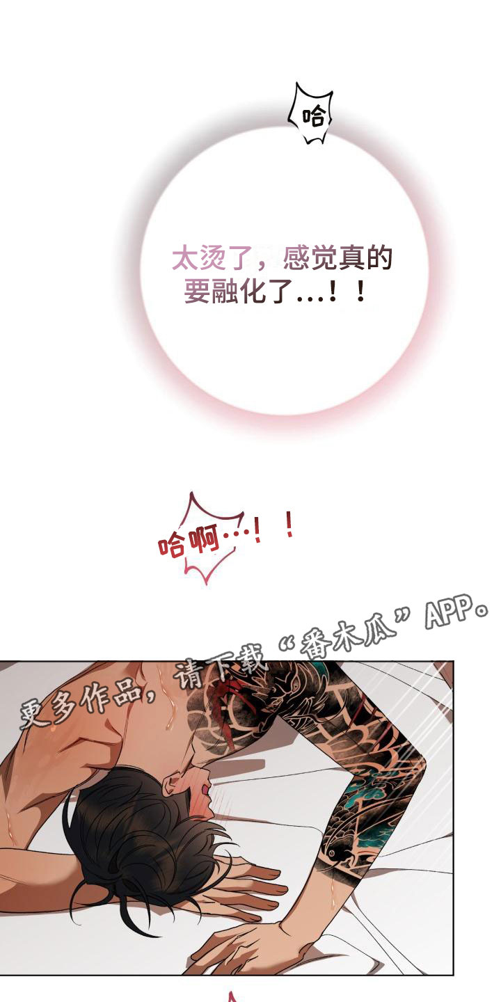 第13章：别惹我：永远在一起【完】0
