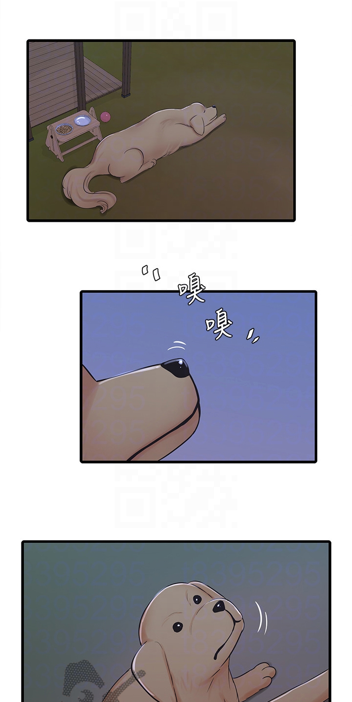 第120章：屋顶0