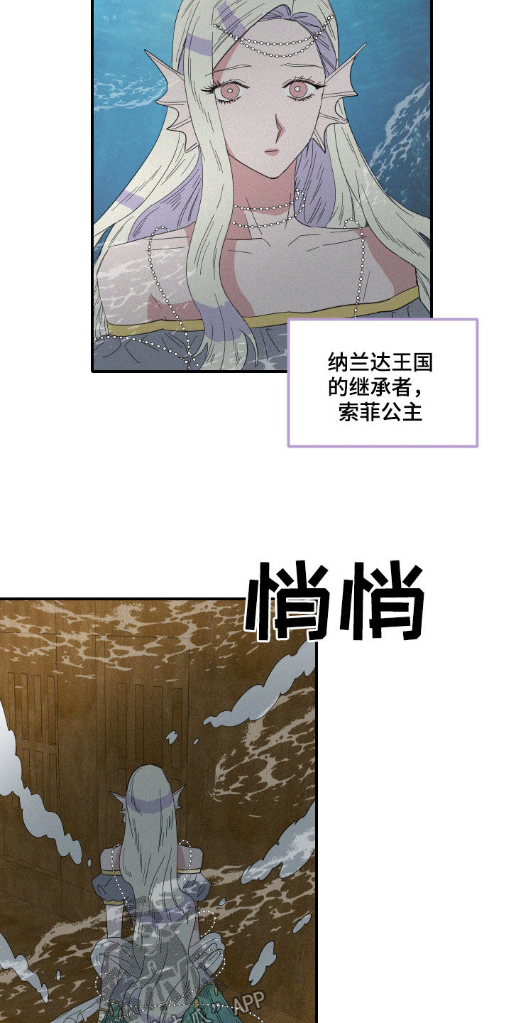 第36章：偷看1