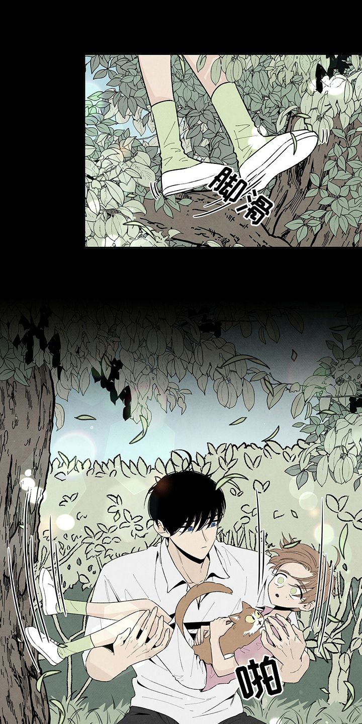 漫画校园黑帮丹尼尔漫画,第102章：爸爸5图