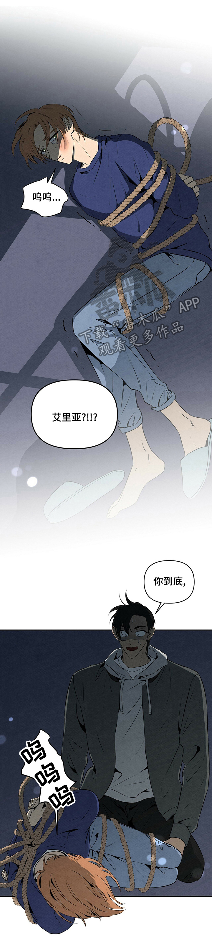 第51章：电话0