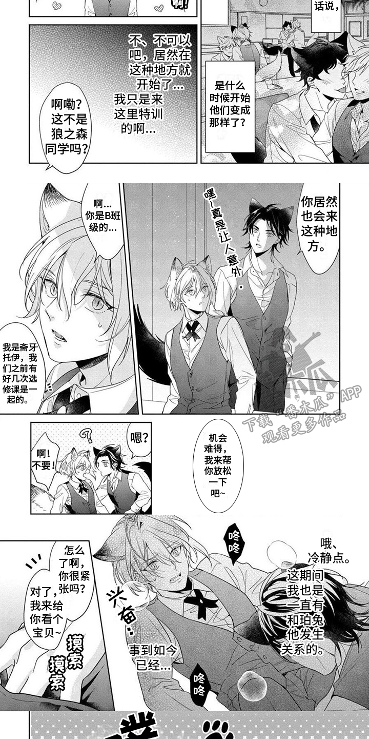 第7章：特殊训练4