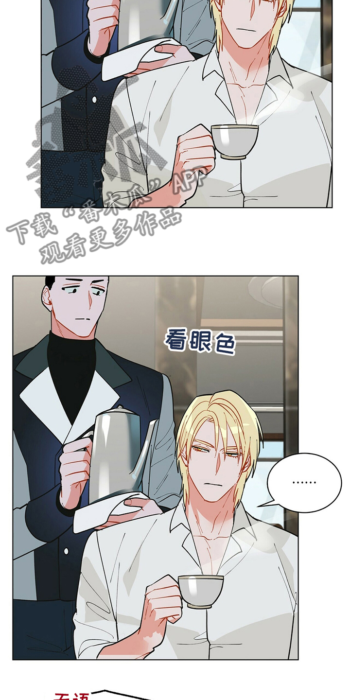 黑渡鸦幼鸟购买注意事项漫画,第109章：【番外】丢三落四3图