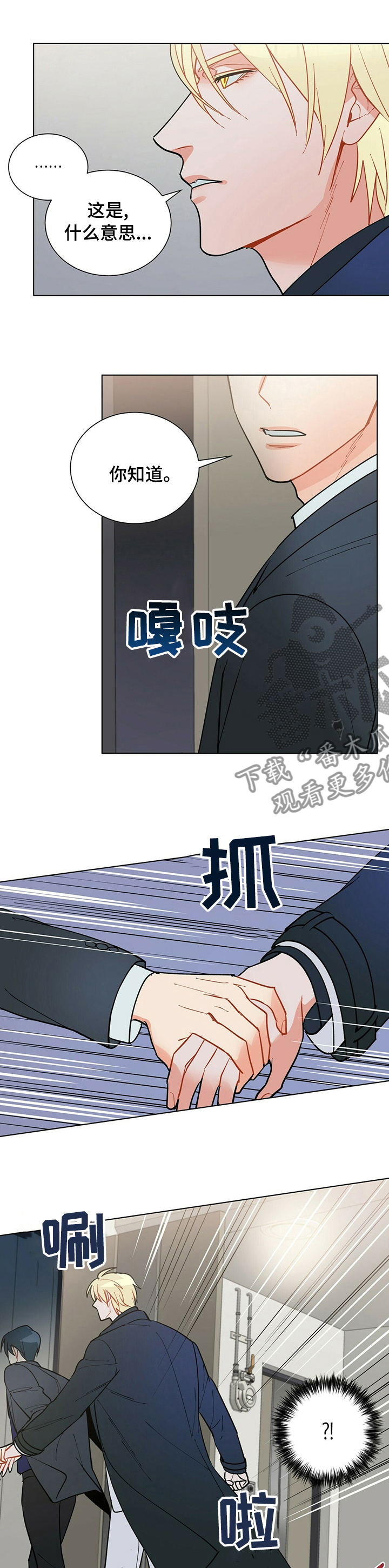 黑渡鸦的寓意有哪些漫画,第103章：【番外】进来坐坐吧5图