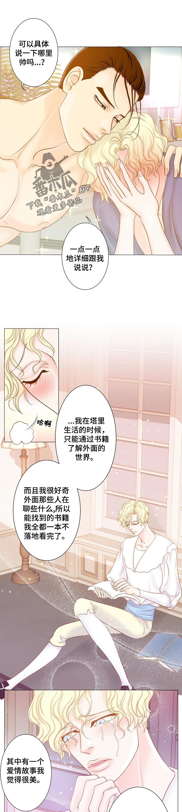 第23章：绑架的王子0