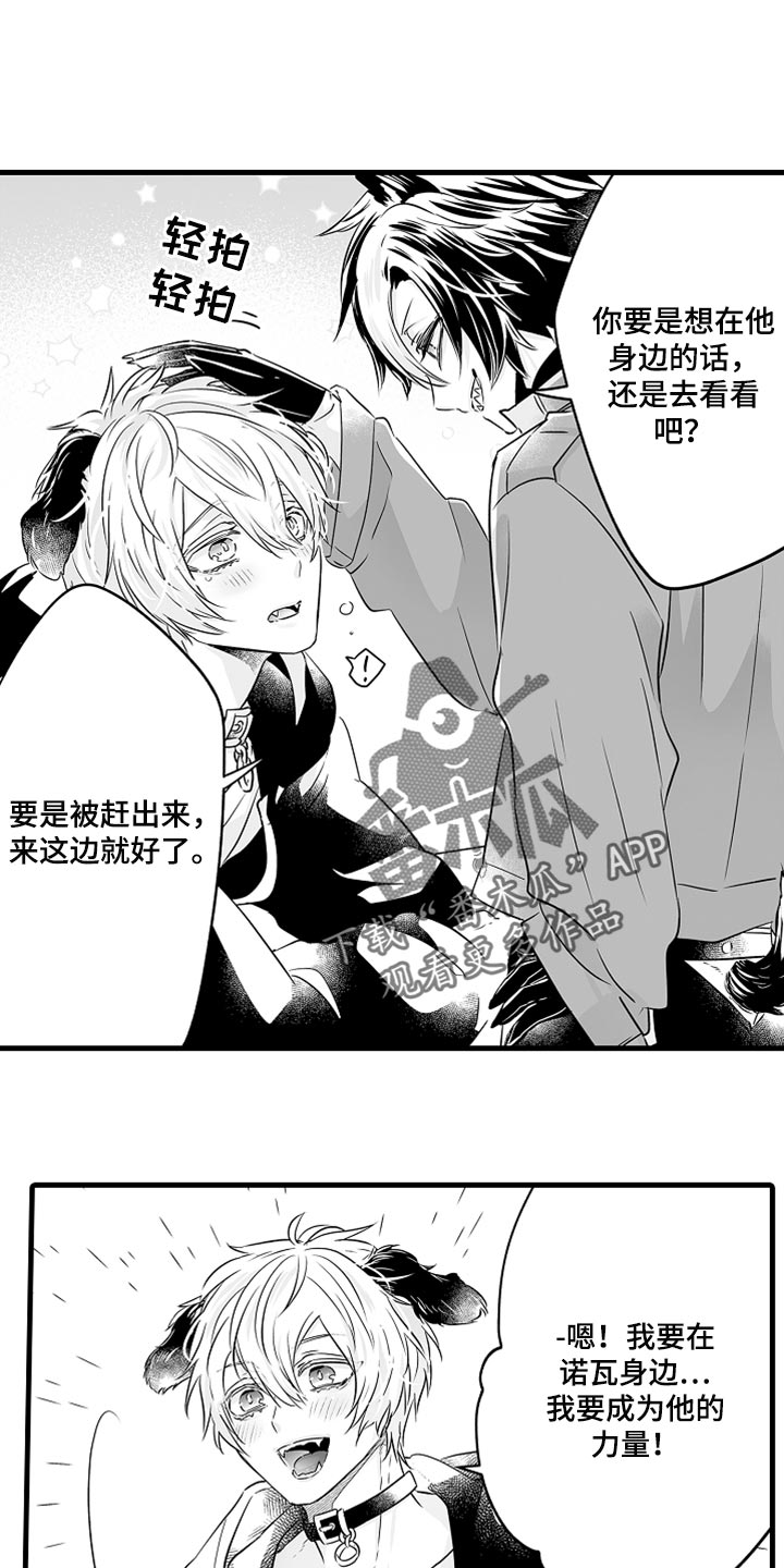 森林中的熊先生动漫在线漫画,第33章：回岛屿的理由1图