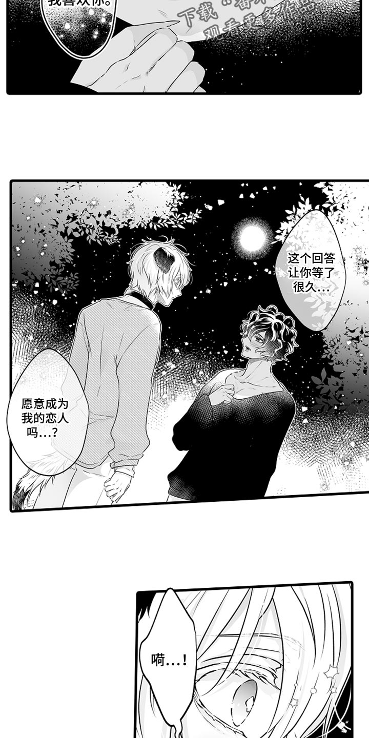 森林中的熊素描漫画,第26章：告白4图