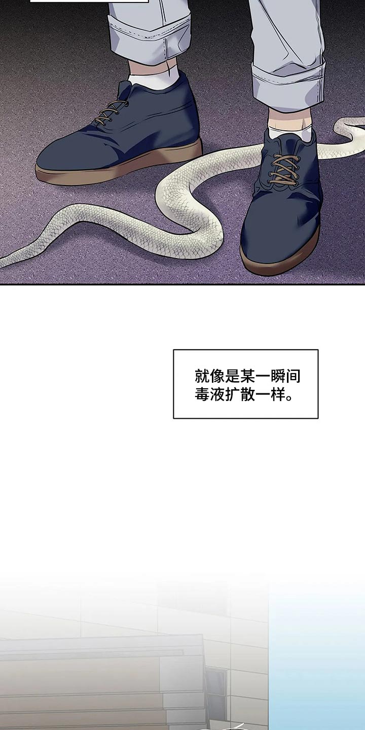 毒蛇缠咬漫画,第60章：复杂的关系【完结】5图