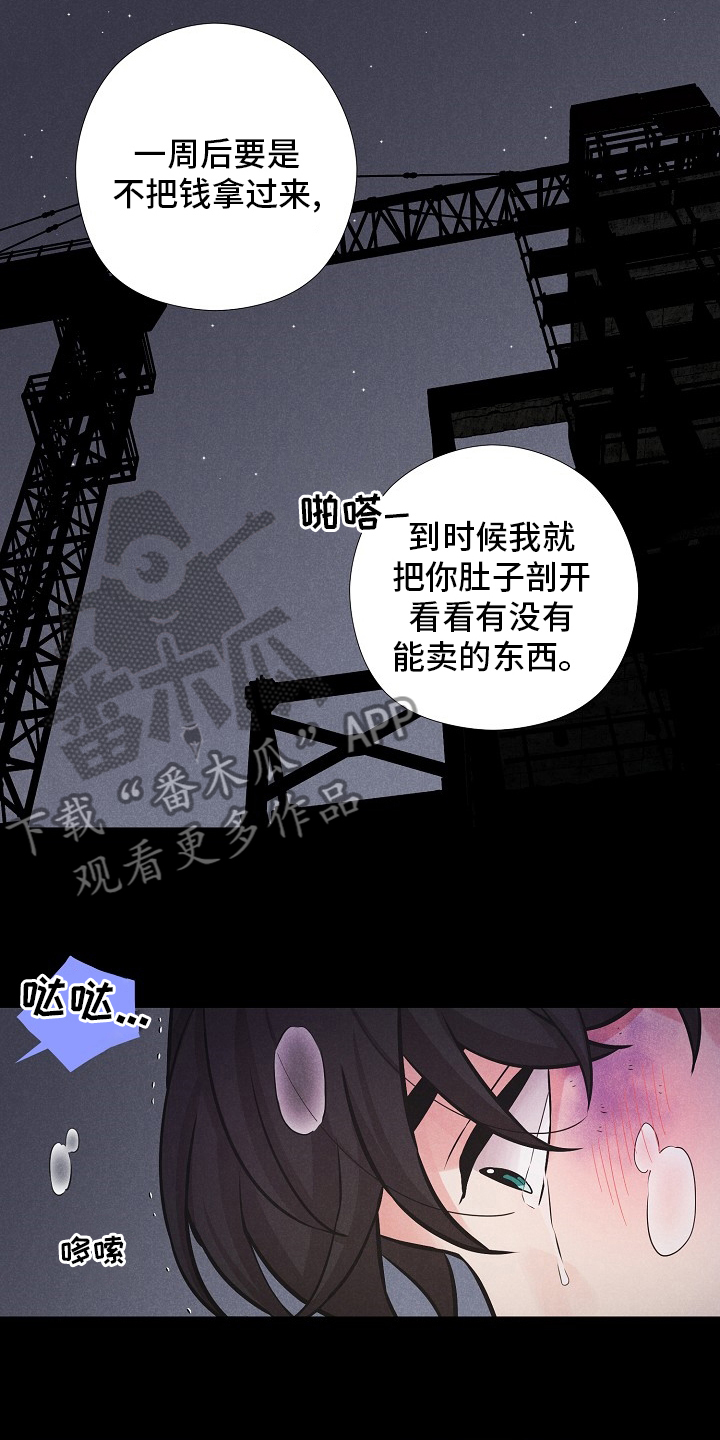 秘密俱乐部英文版漫画,第21章：躲起来2图