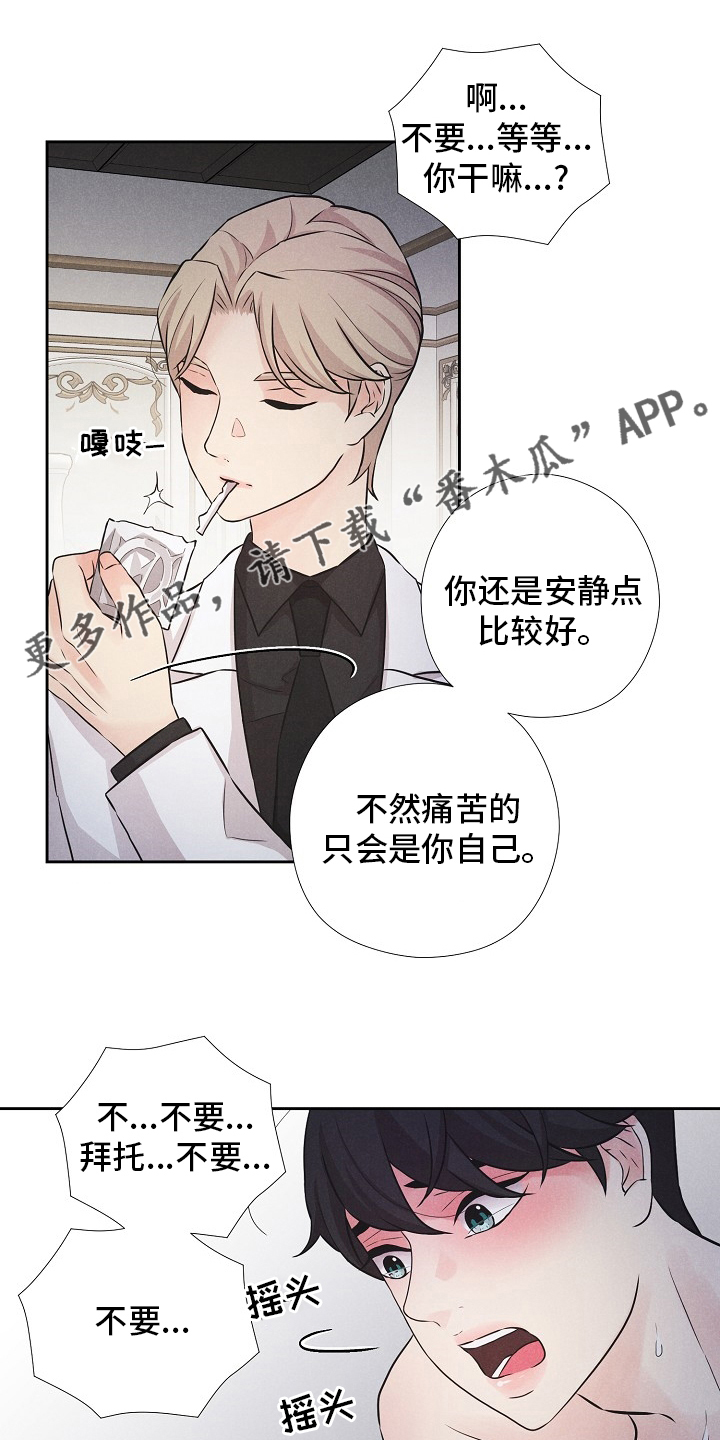 秘密俱乐部英文版漫画,第19章：飞机1图