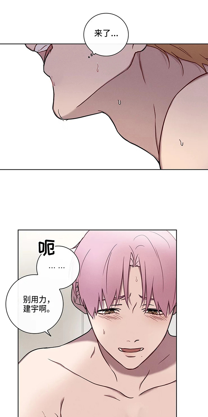 第52章：三角恋人：很有关系0