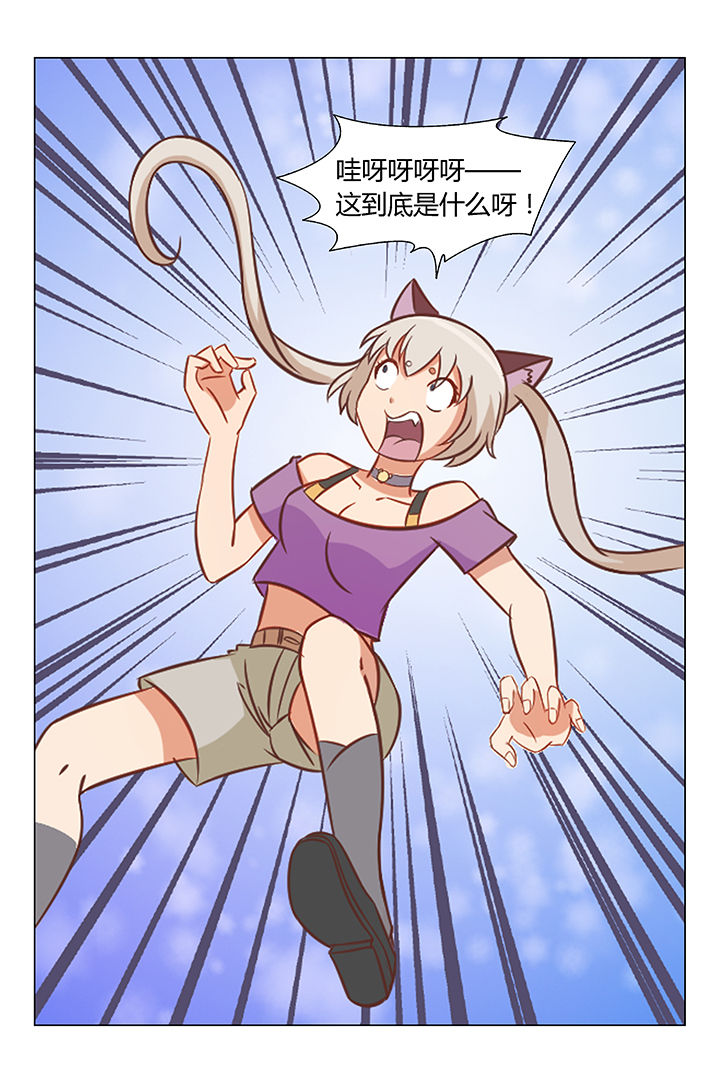 喵即正义漫画,第74章：1图