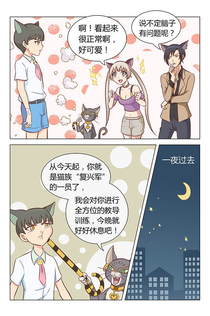 喵即正义漫画,第6章：5图