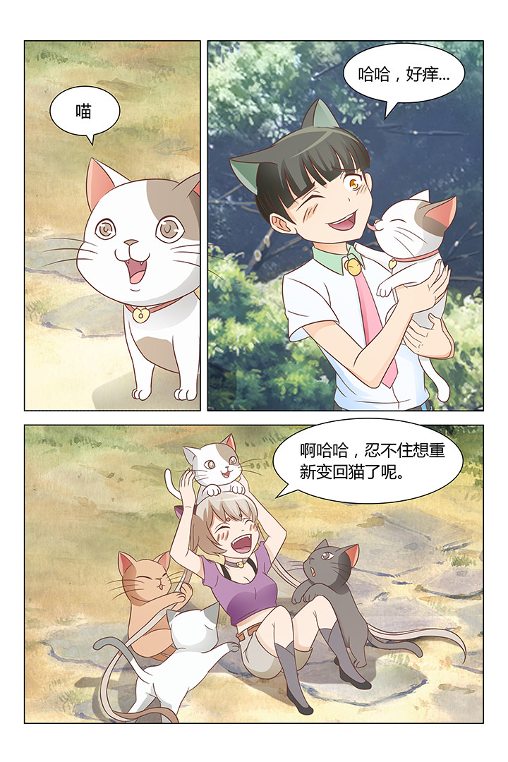 喵即正义漫画,第141章：4图