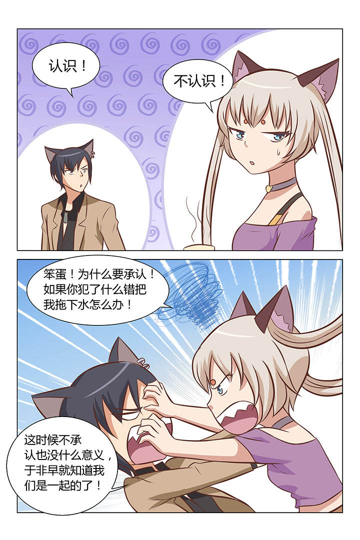喵即正义漫画,第61章：3图
