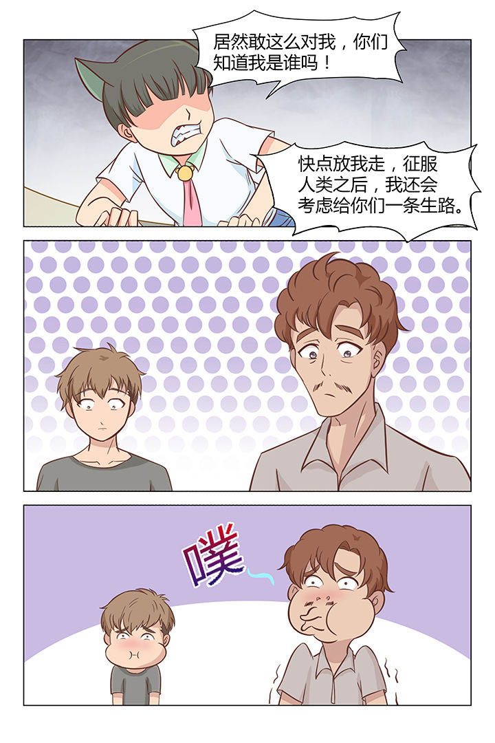 喵即正义漫画,第33章：2图