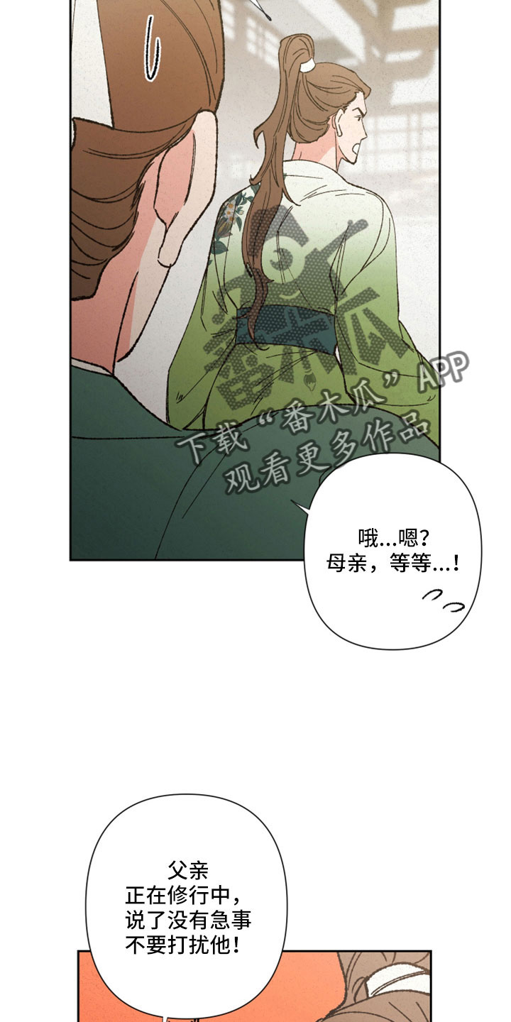 桃源大将军漫画,第45章：瞳孔地震5图