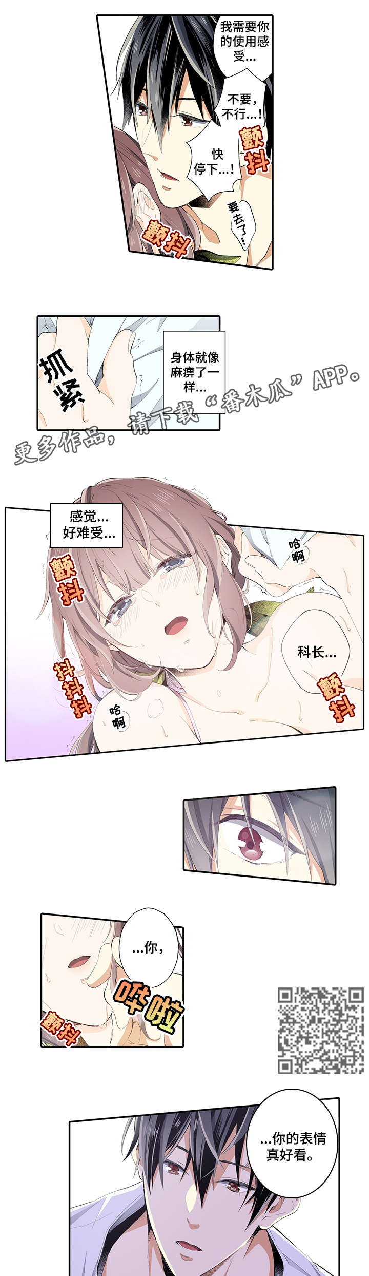 第11章：魅力3
