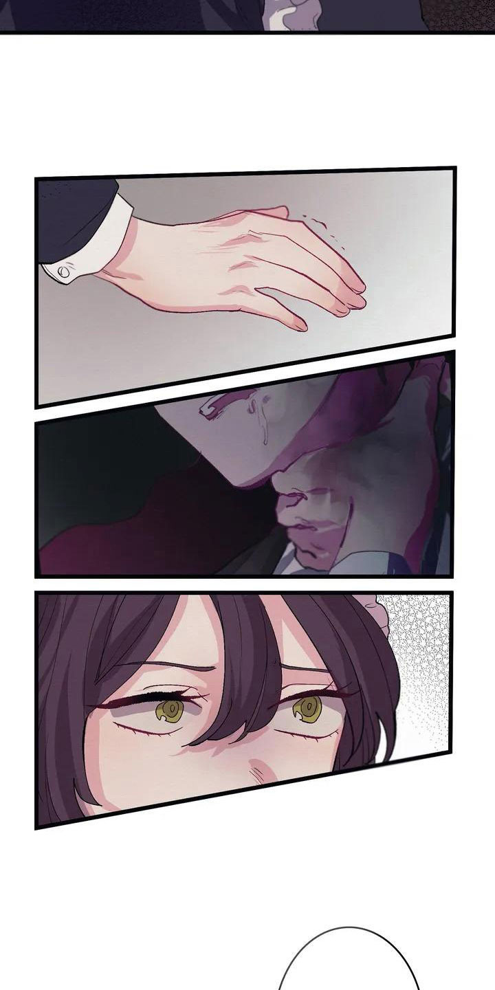第7章：相似1