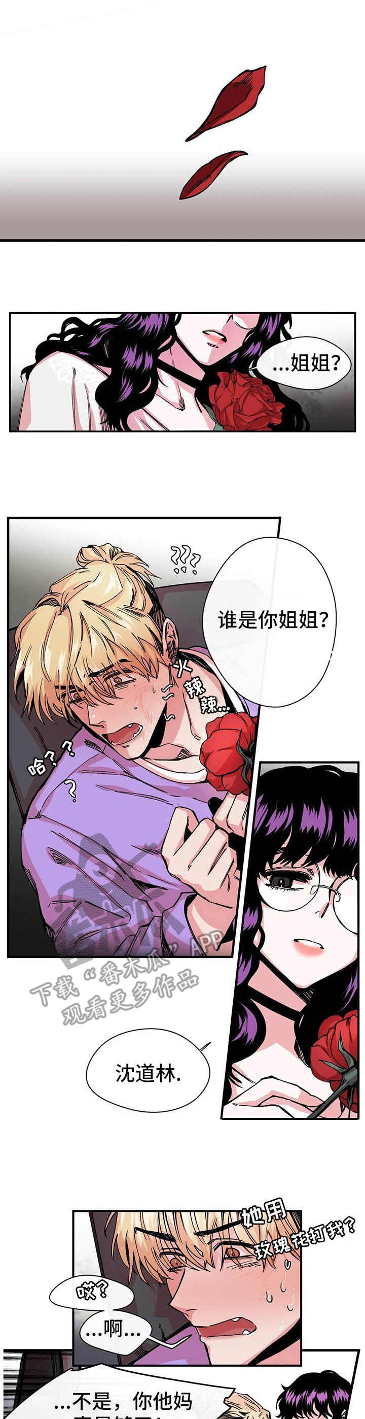 第11章：强硬0