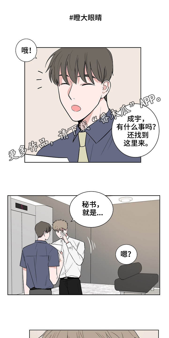 猫狗攻防战动漫漫画,第21章：打听1图