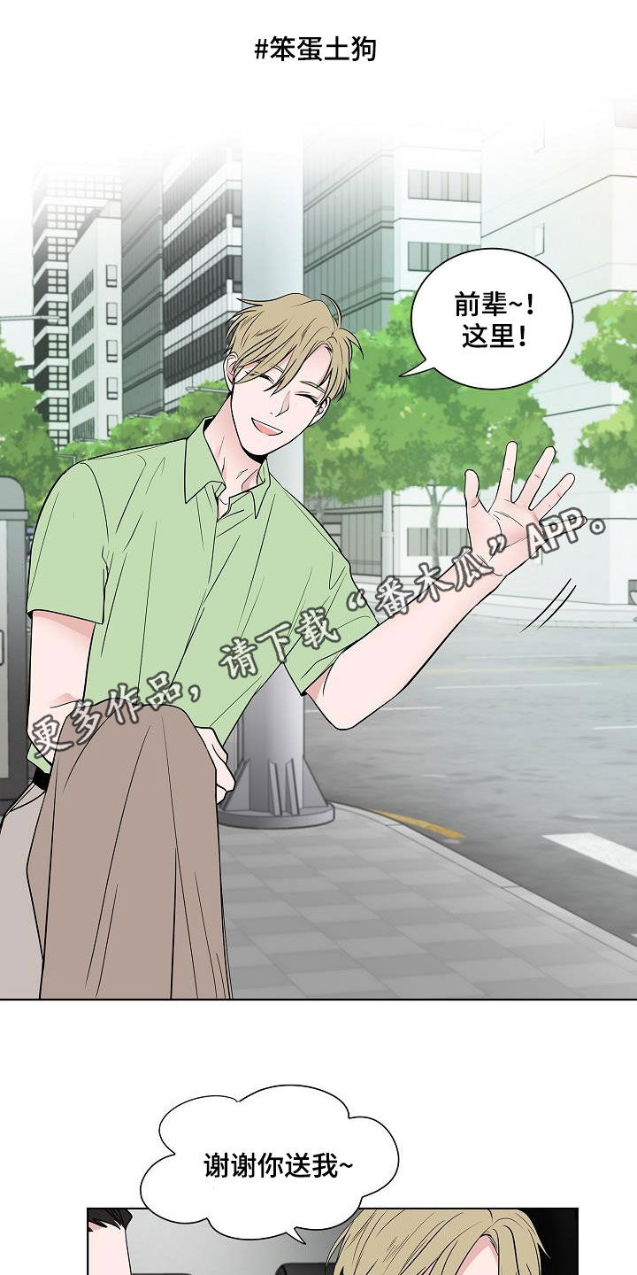 猫狗会感染新冠吗漫画,第49章：是因为我1图