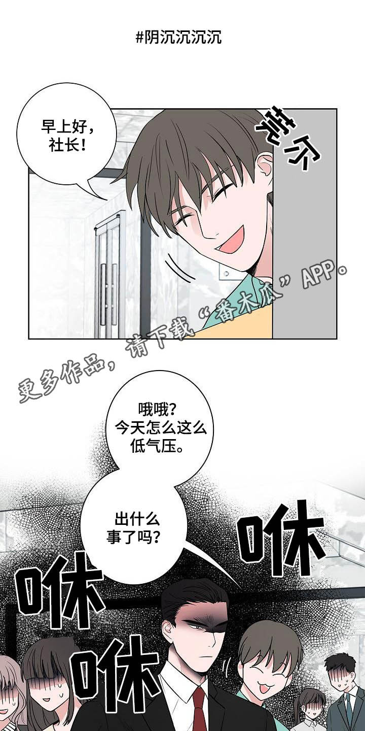 猫狗会感染新冠吗漫画,第41章：误会大了1图