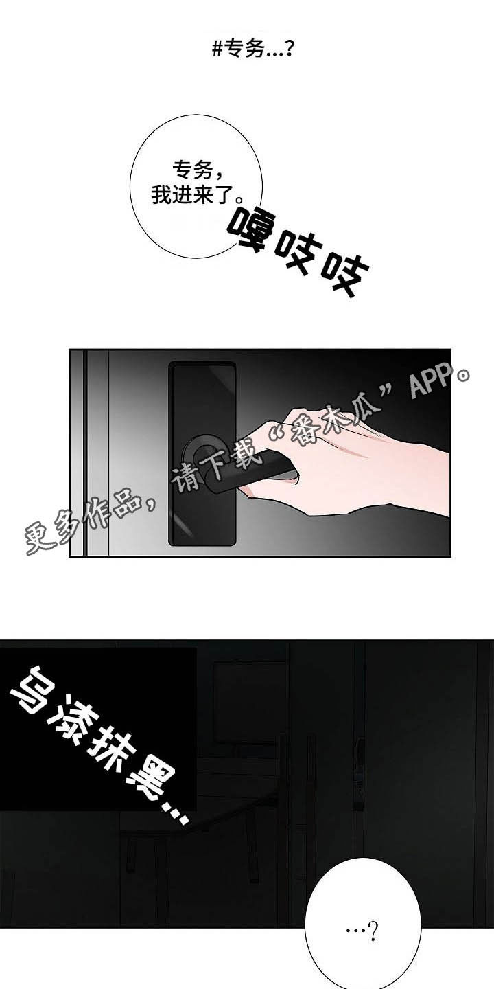 猫狗攻防战动漫漫画,第33章：百天纪念1图