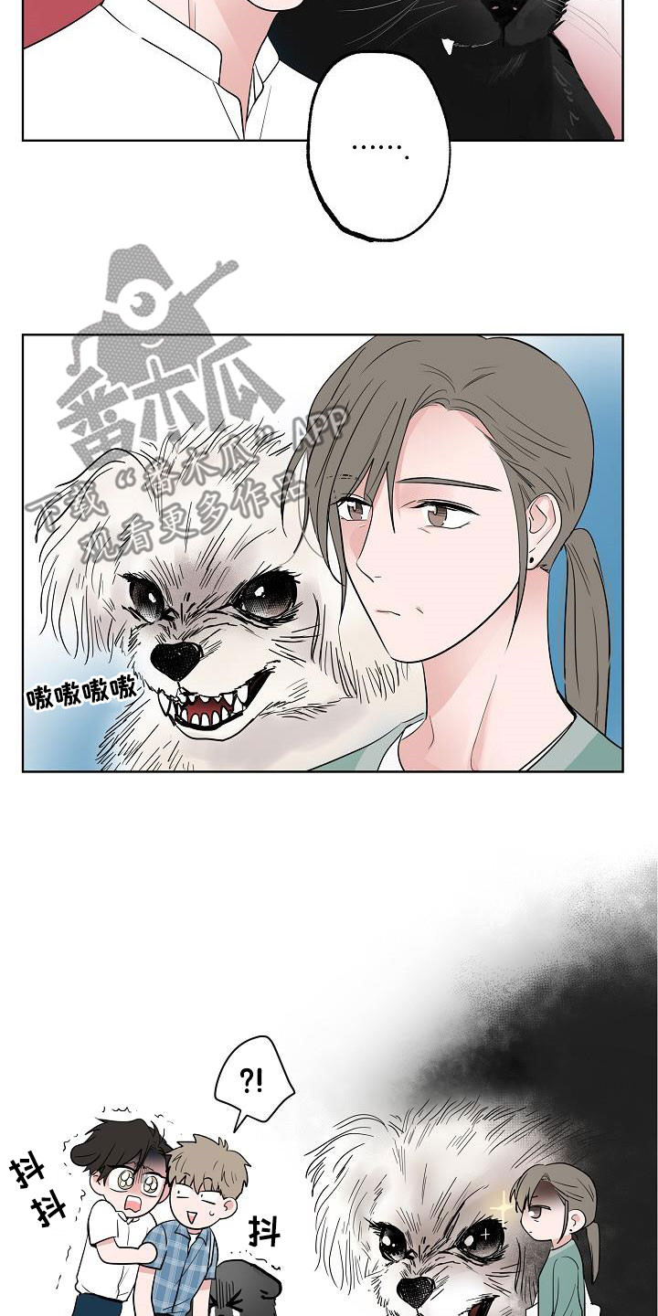 猫狗大战案例漫画,第60章：如释重负2图