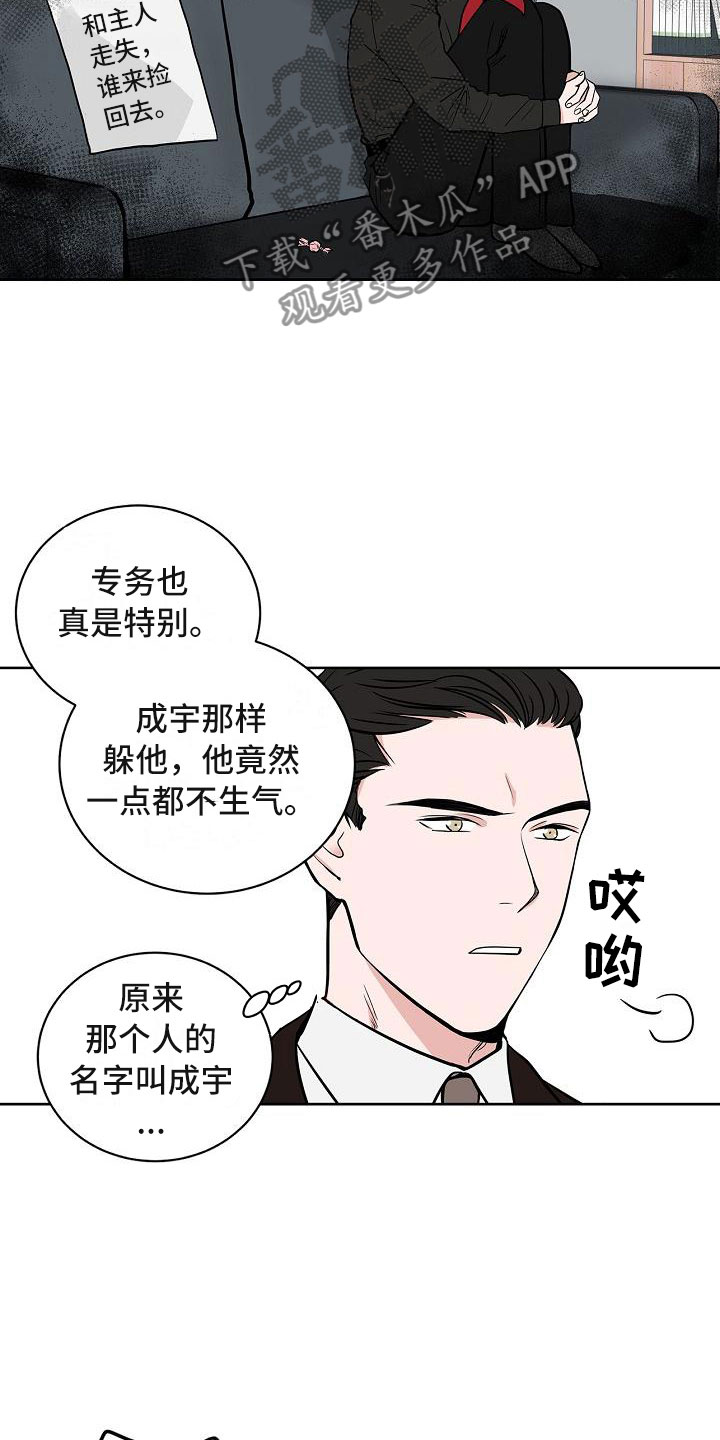 猫狗大战案例漫画,第6章：体贴2图