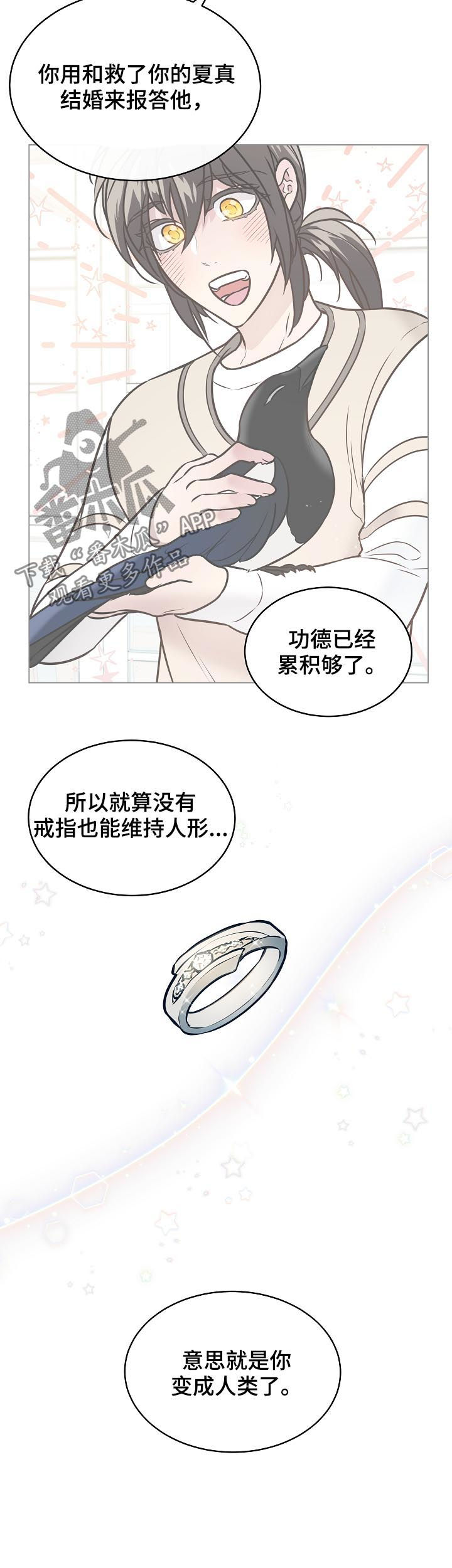第94章：结婚1