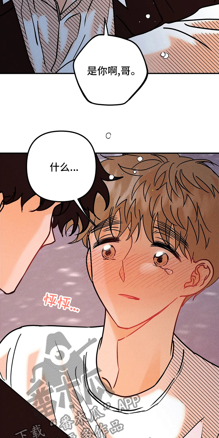 爱的赞歌法国歌曲漫画,第79章：【完结】初恋5图