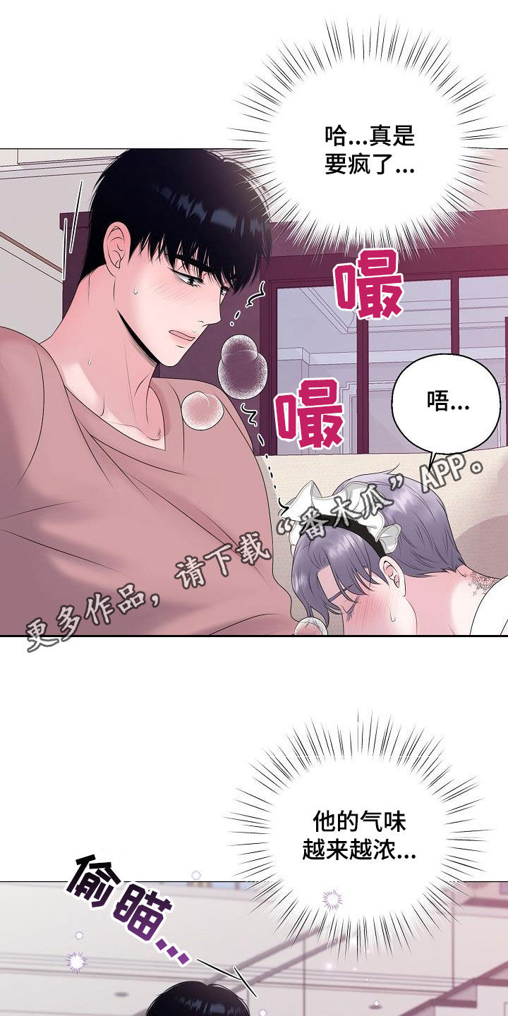 占为己有软糖糖白念苏漫画,第36章：被你逼疯1图