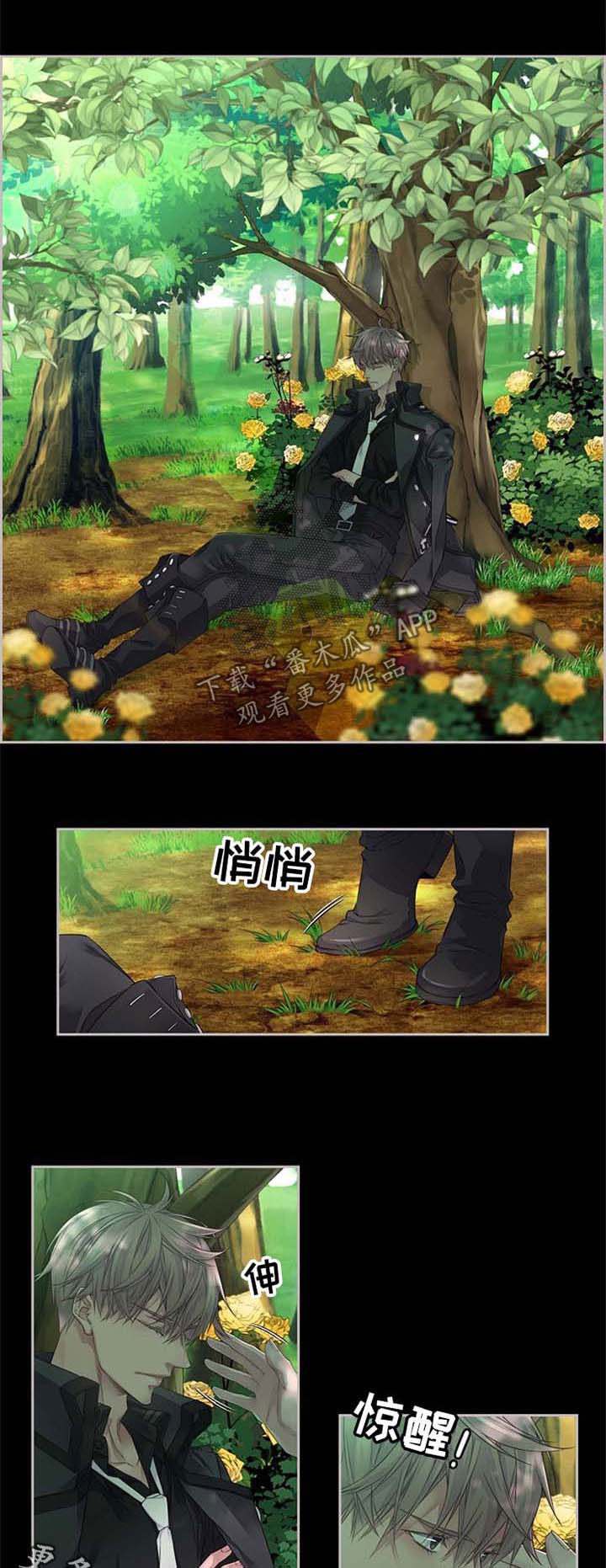 第17章：梦想0