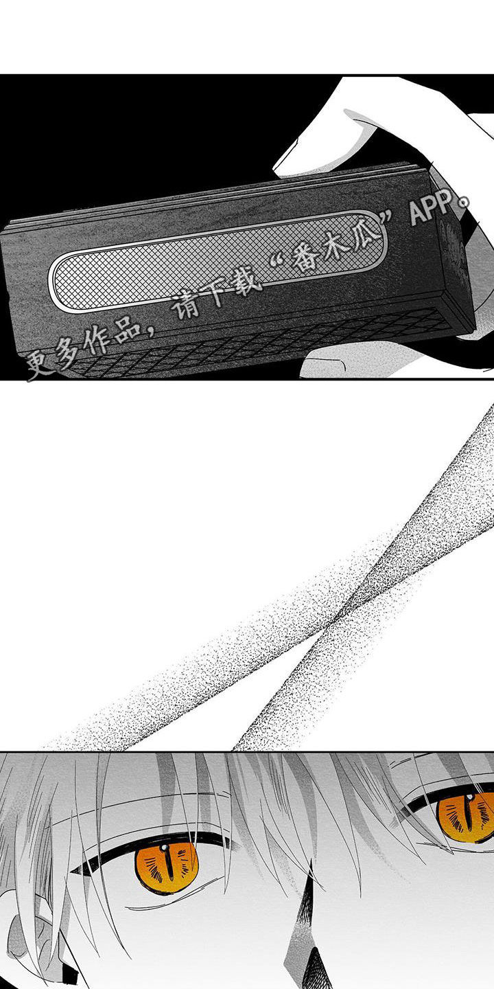 白鳞鱼的家常做法视频简单漫画,第28章：变数1图