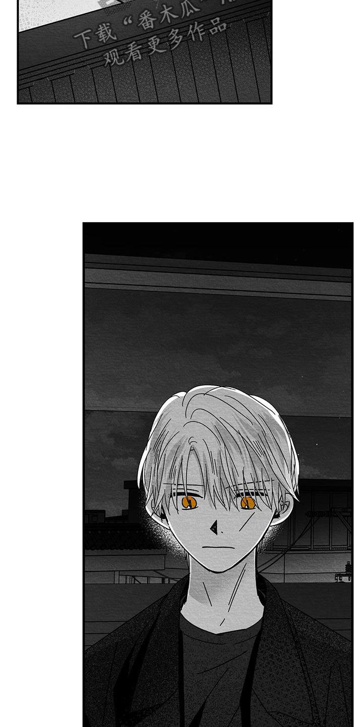 白鳞鱼礼盒漫画,第25章：求你4图