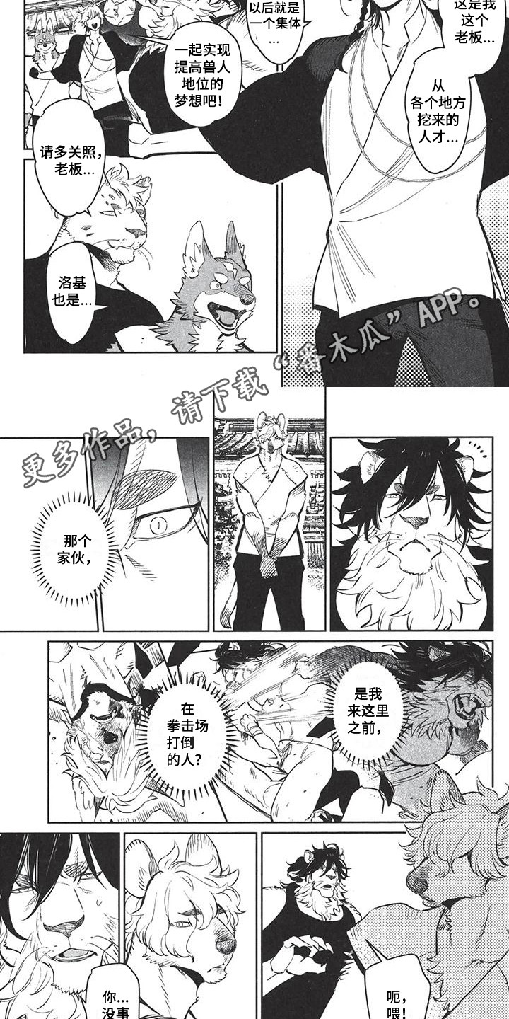 雄狮数据漫画,第4章：团体成立3图
