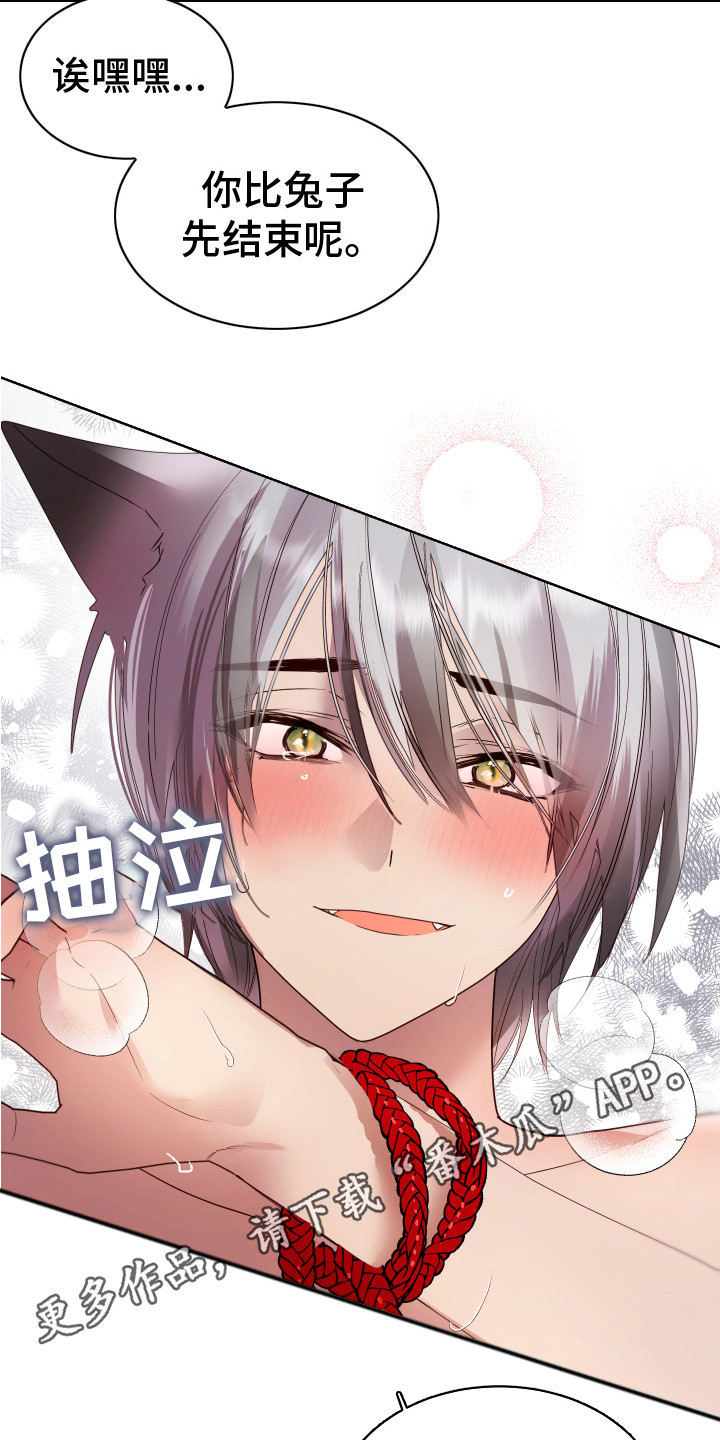 兔兔不叽小说漫画,第13章：很华丽5图