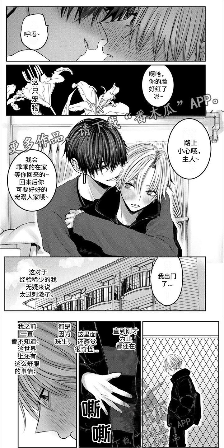第6章：藏了什么0