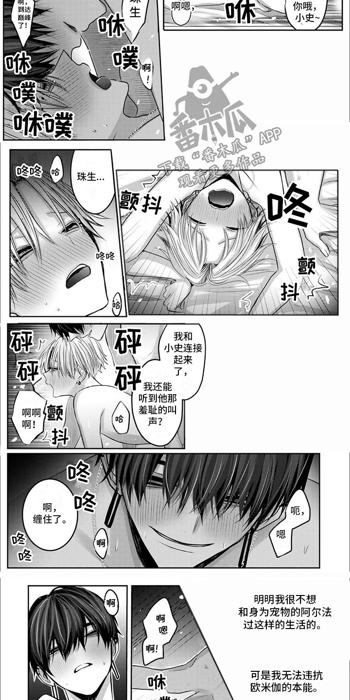 第8章：记住彼此2