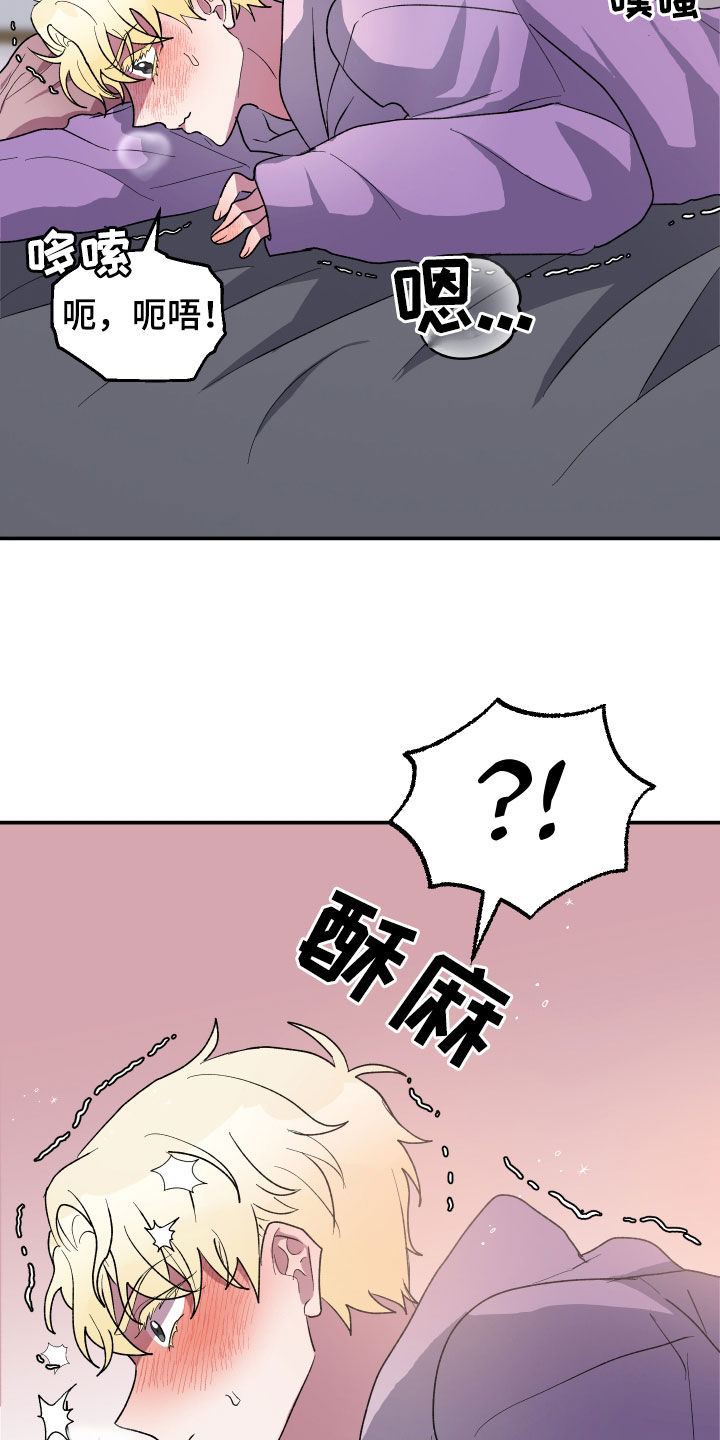 第12章：替代品2