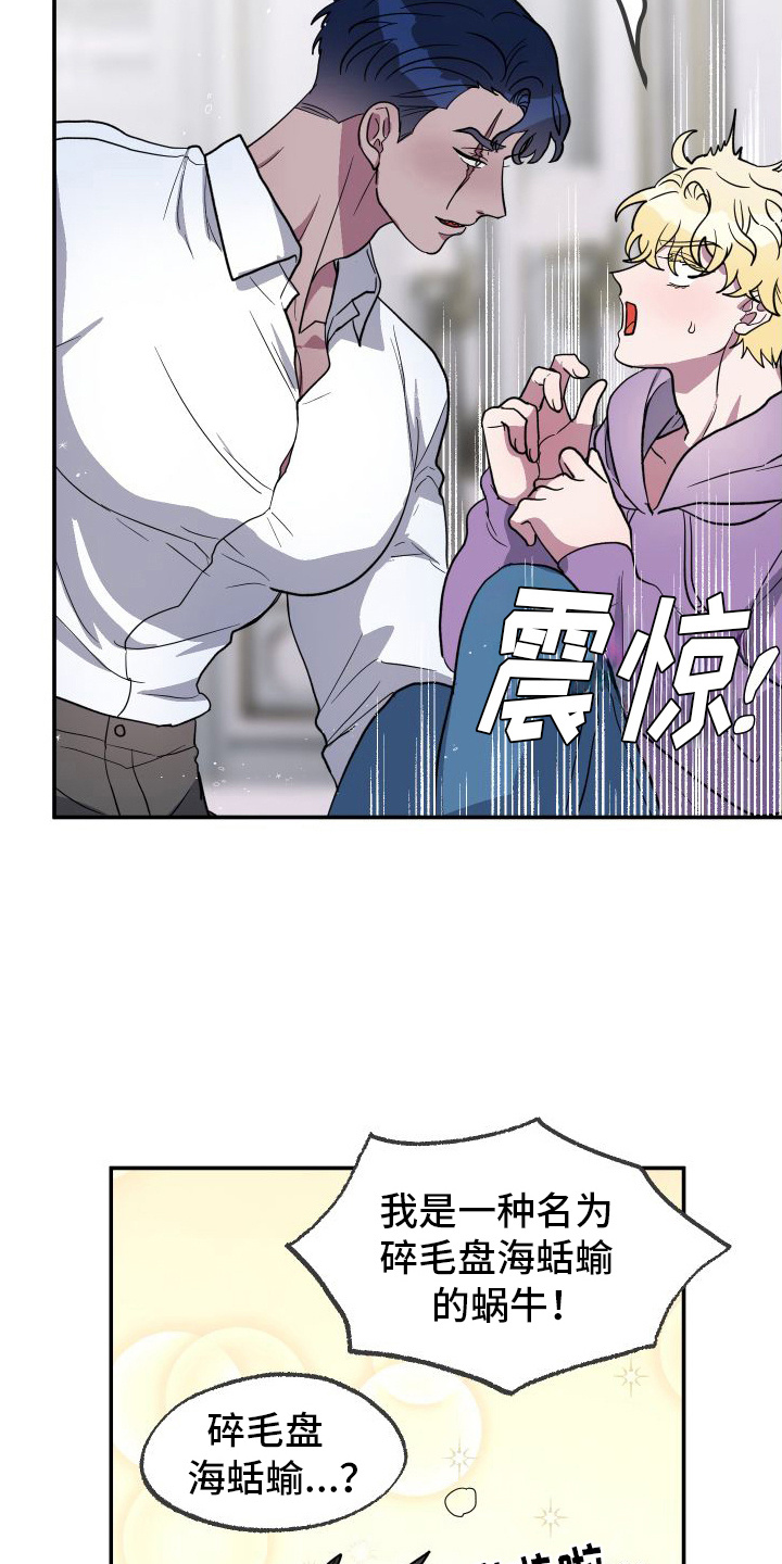 第4章：雌雄同体2
