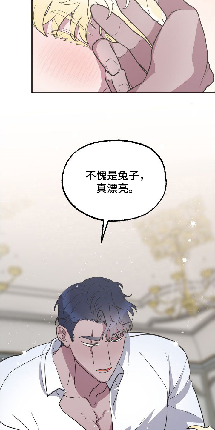 海兔影院漫画,第3章：品种3图